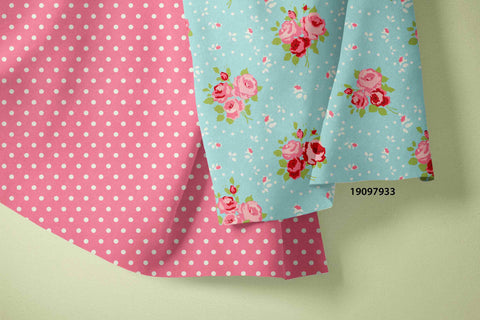 RAANI COLOUR COMBO 0013
