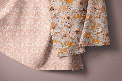 RAANI COLOUR COMBO 0003