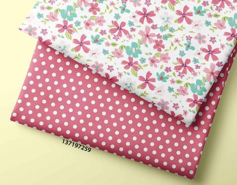 RAANI COLOUR COMBO 0040