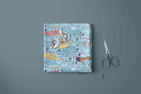 HELICOPTER PRINTS 29