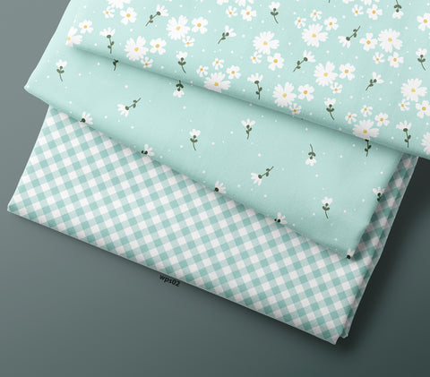 MINT COLOUR COMBO  0165