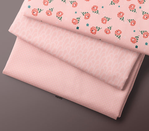 RAANI COLOUR COMBO  0072