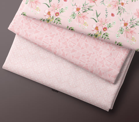 RAANI COLOUR COMBO  0074