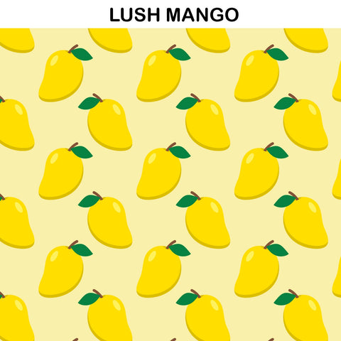 MANGO PRINT EARRING ORGANIZER CUSTOMISER