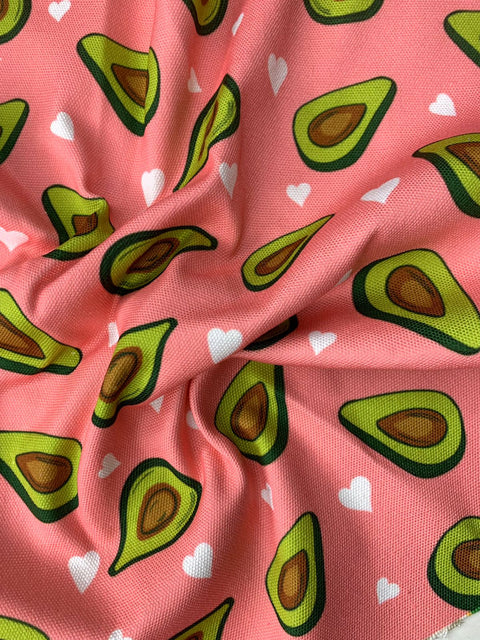 CANVAS FABRIC 43 - CC001 (154)