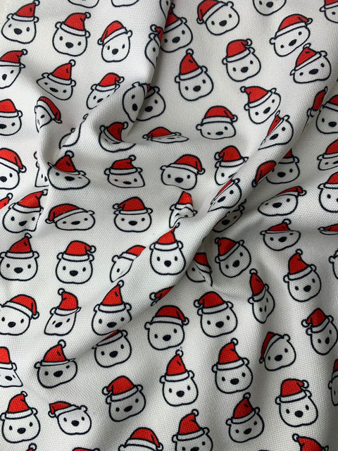 CANVAS FABRIC 61 - CC001 (236)