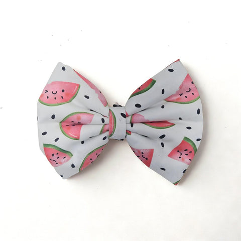 WATERMELON DREAM Print Scrunchie & Bow Combo
