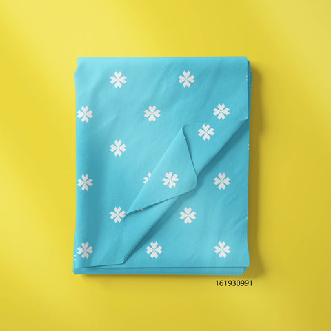 White Daisy Over Blue Color